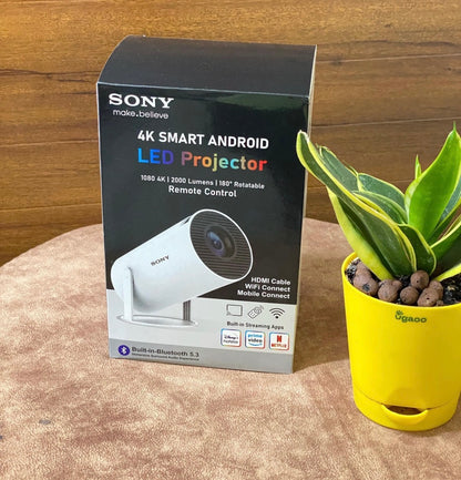 SONY 4k Projector